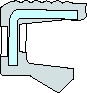 RGZV
