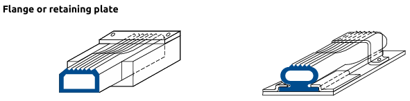 Flange or retaining plate